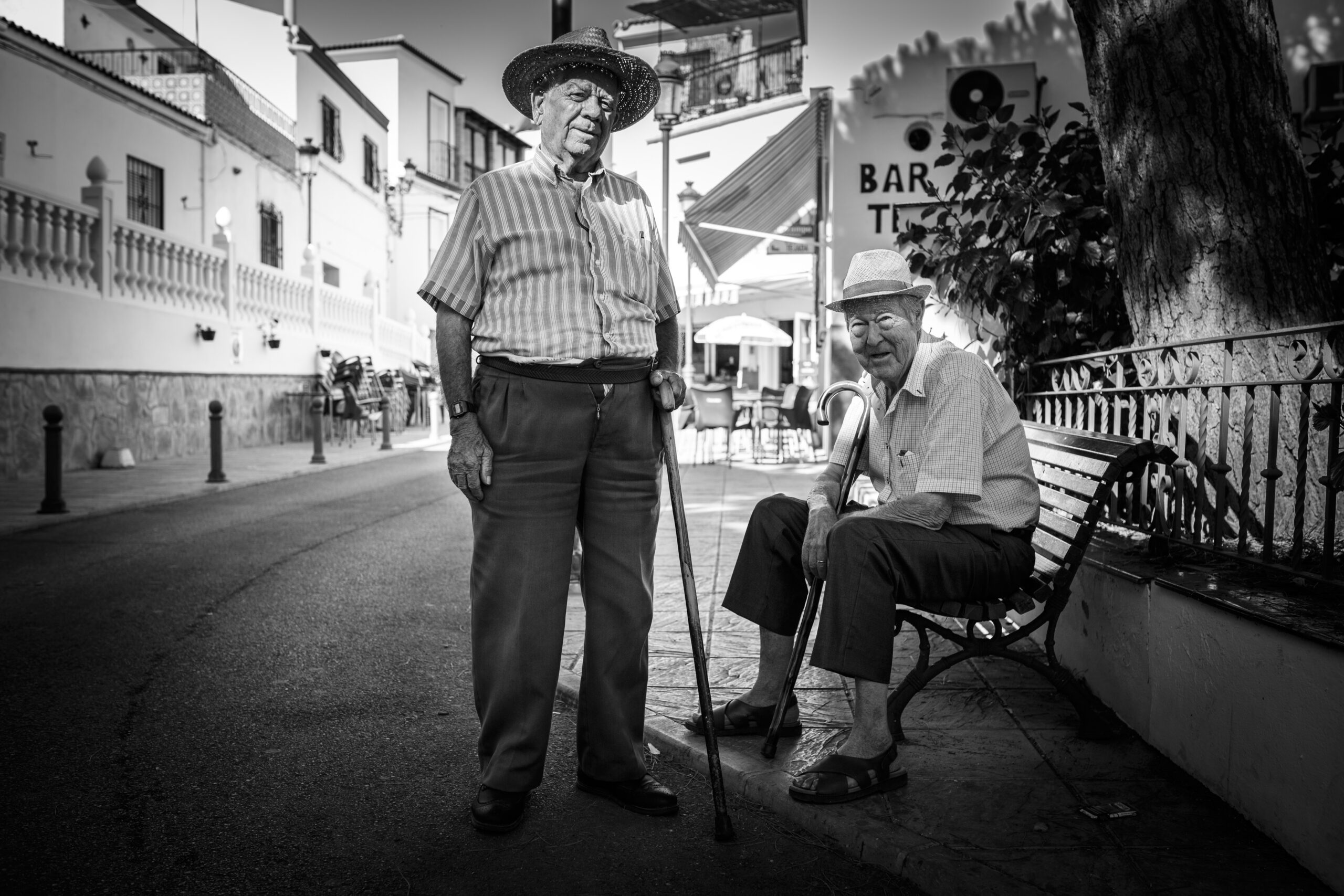 Two old friends, companionship through the years
